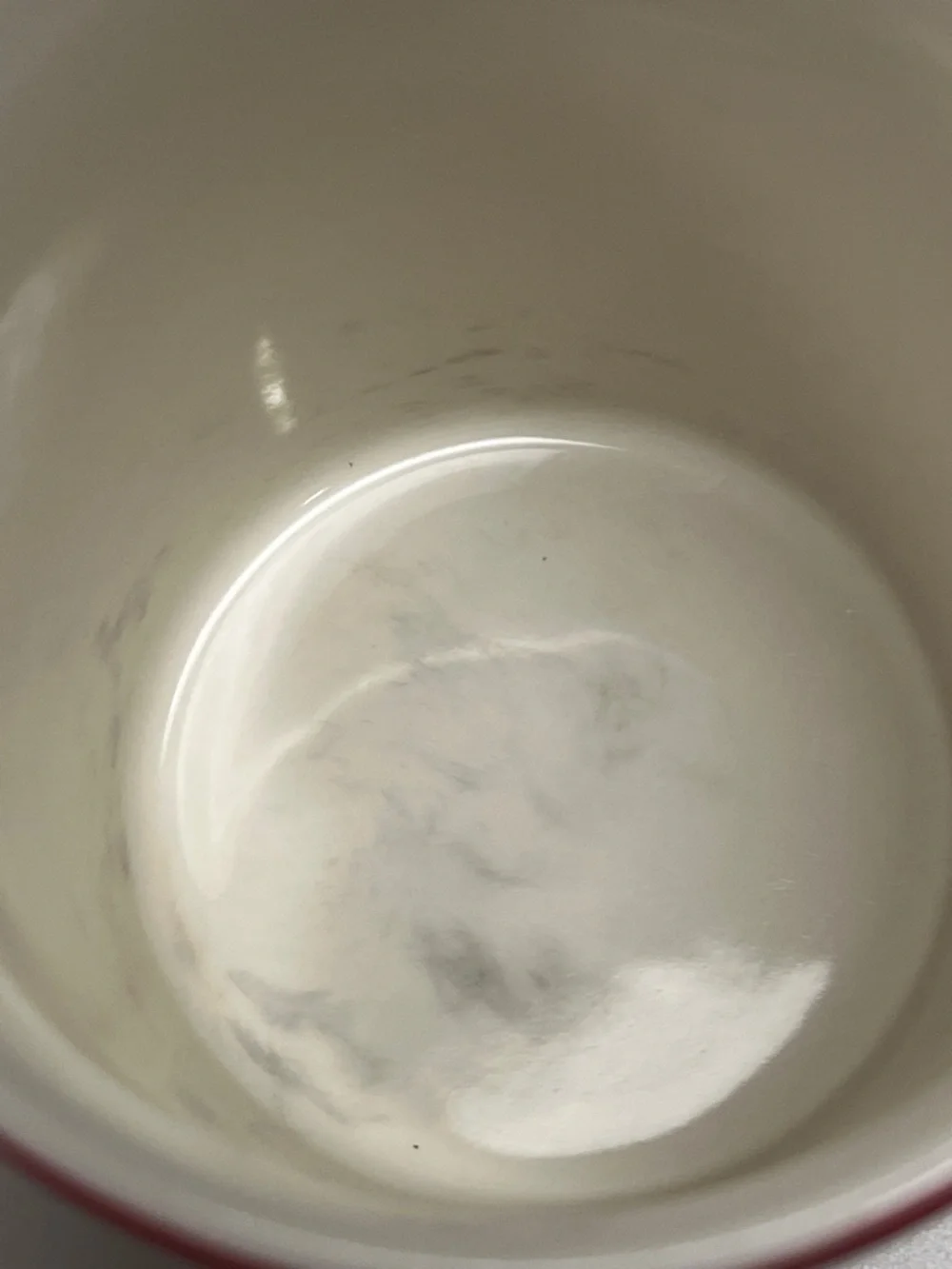 Starbucks 2011 Red Ceramic Mug with White Bird Graphic